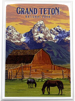 Tetons, Horse, and Barn Magnet