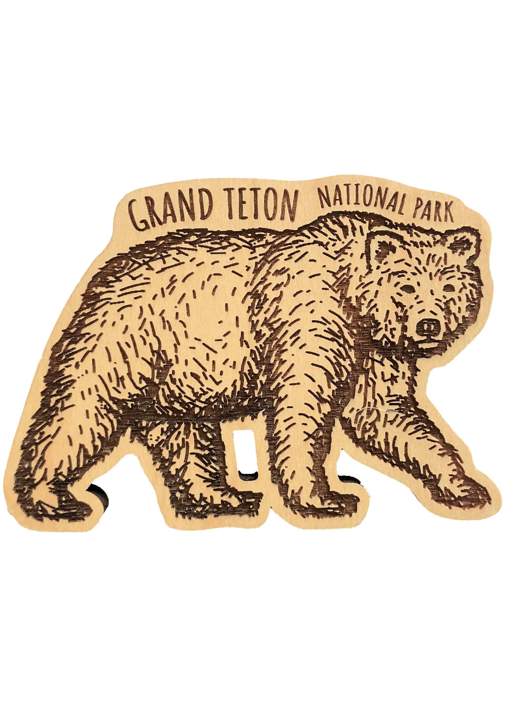 GTNP Grizzly Wood Magnet