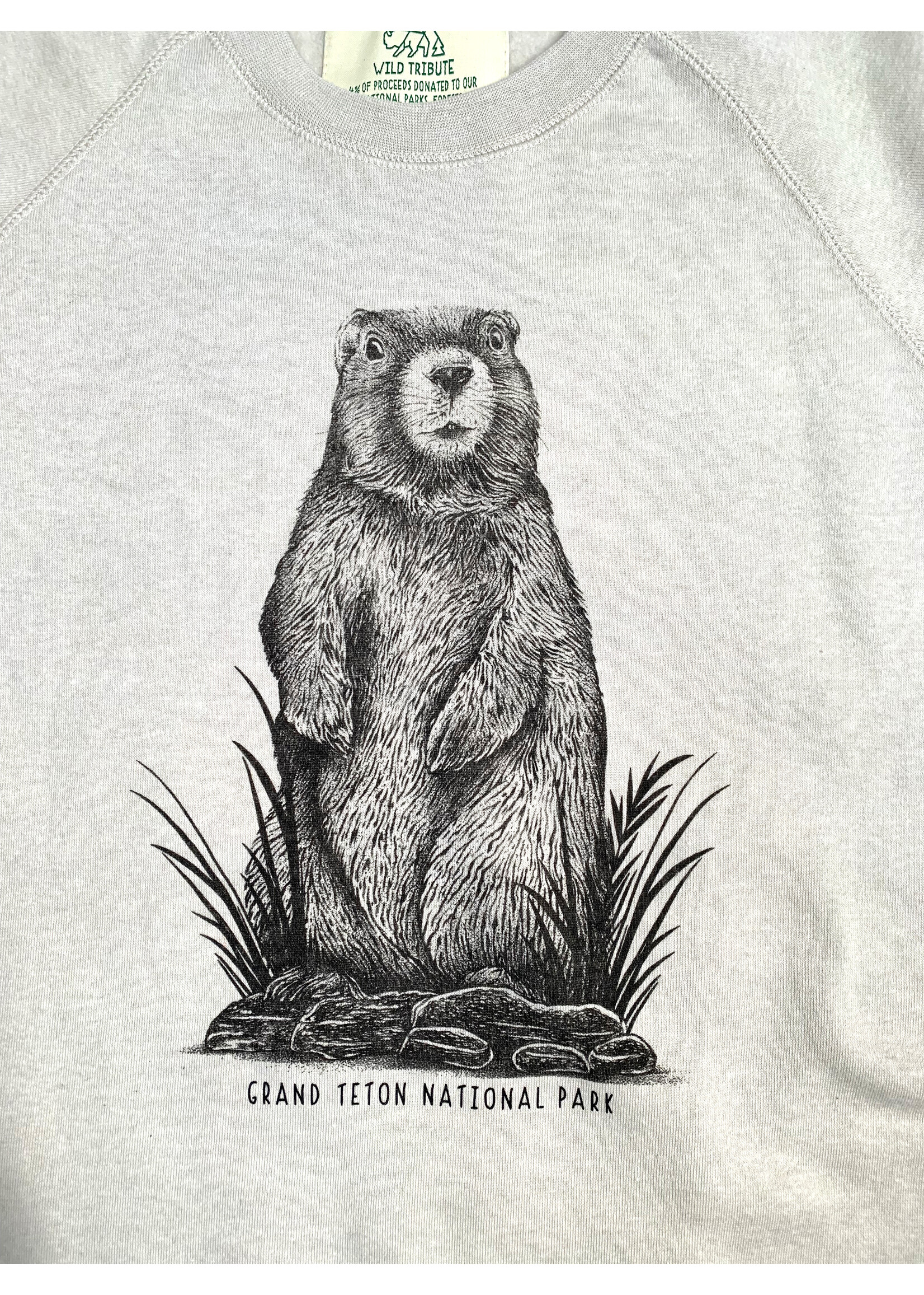 Marmot Sketch Sweatshirt