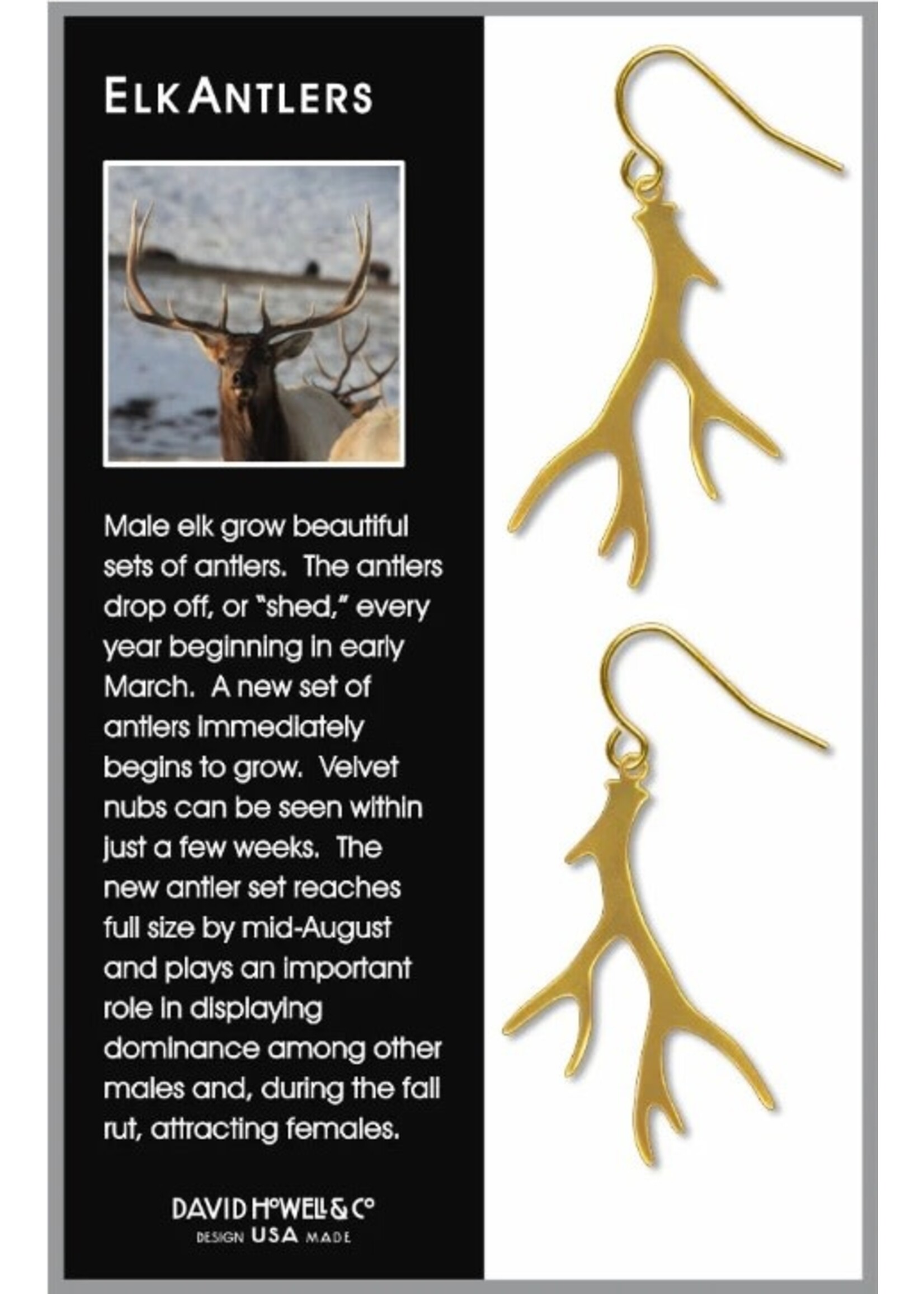 Gold Antler Earrings