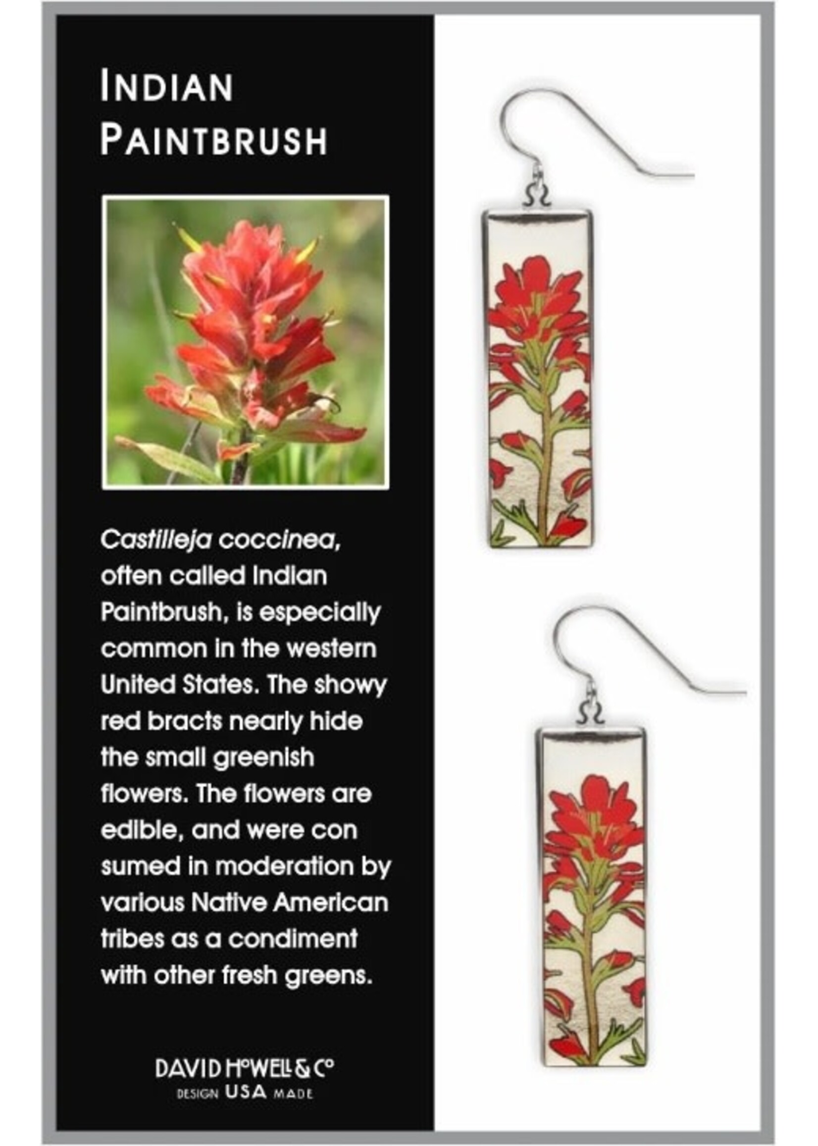 Paintbrush Rectangle Earrings