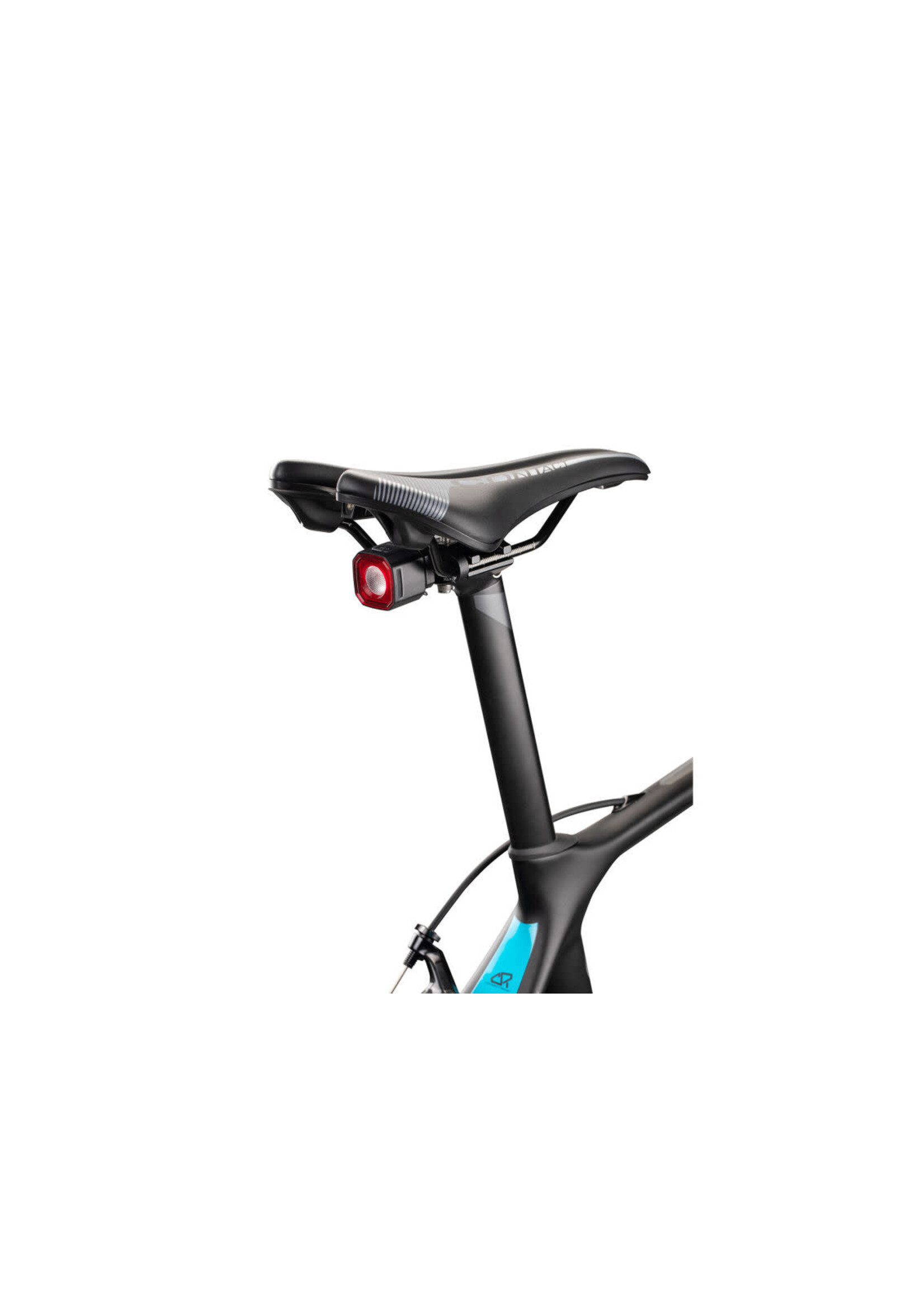 Giant RECON TL 200/100 SADDLE RAIL MOUNT