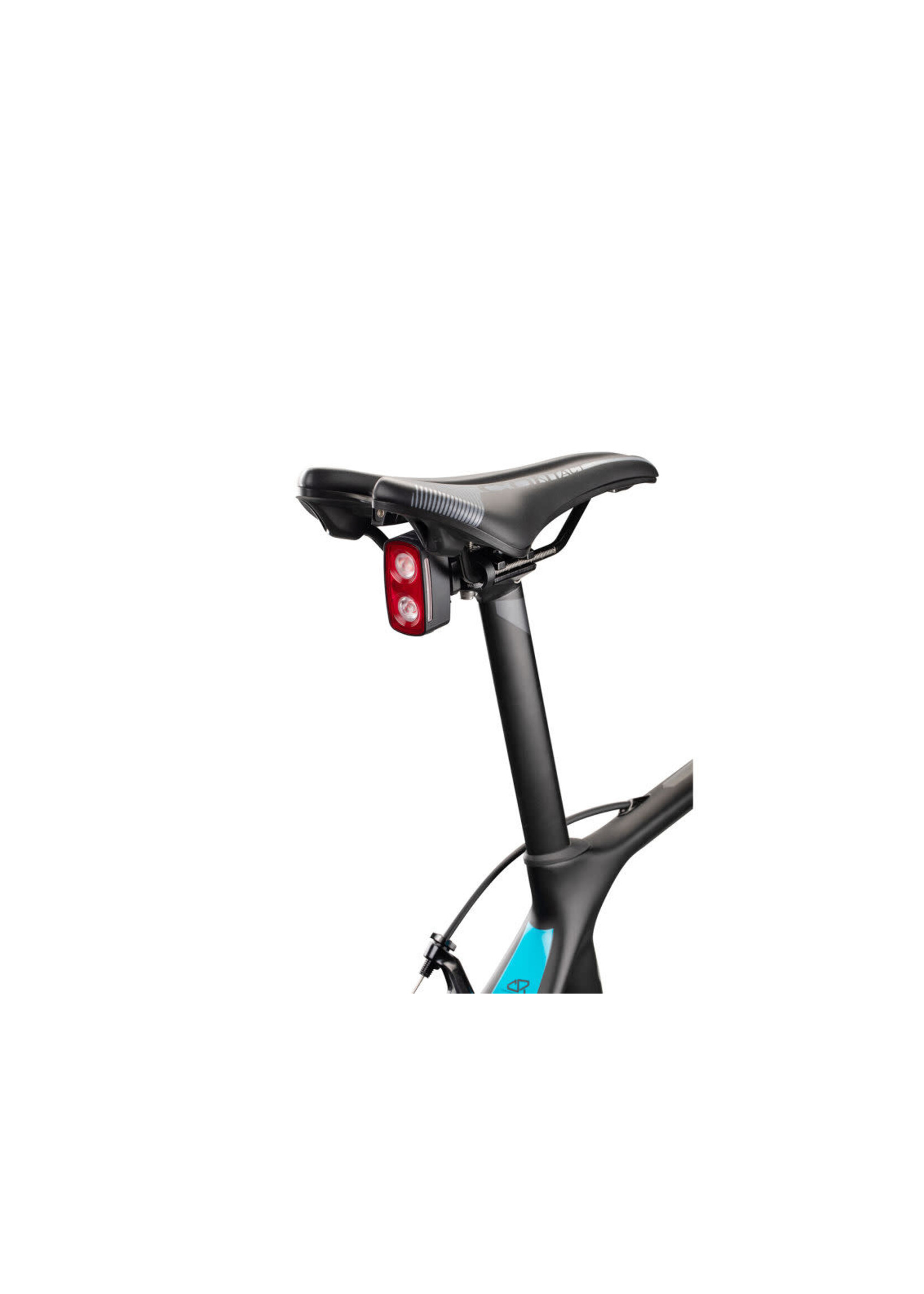Giant RECON TL 200/100 SADDLE RAIL MOUNT