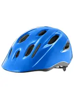 Giant Hoot Gloss ARX - Blue