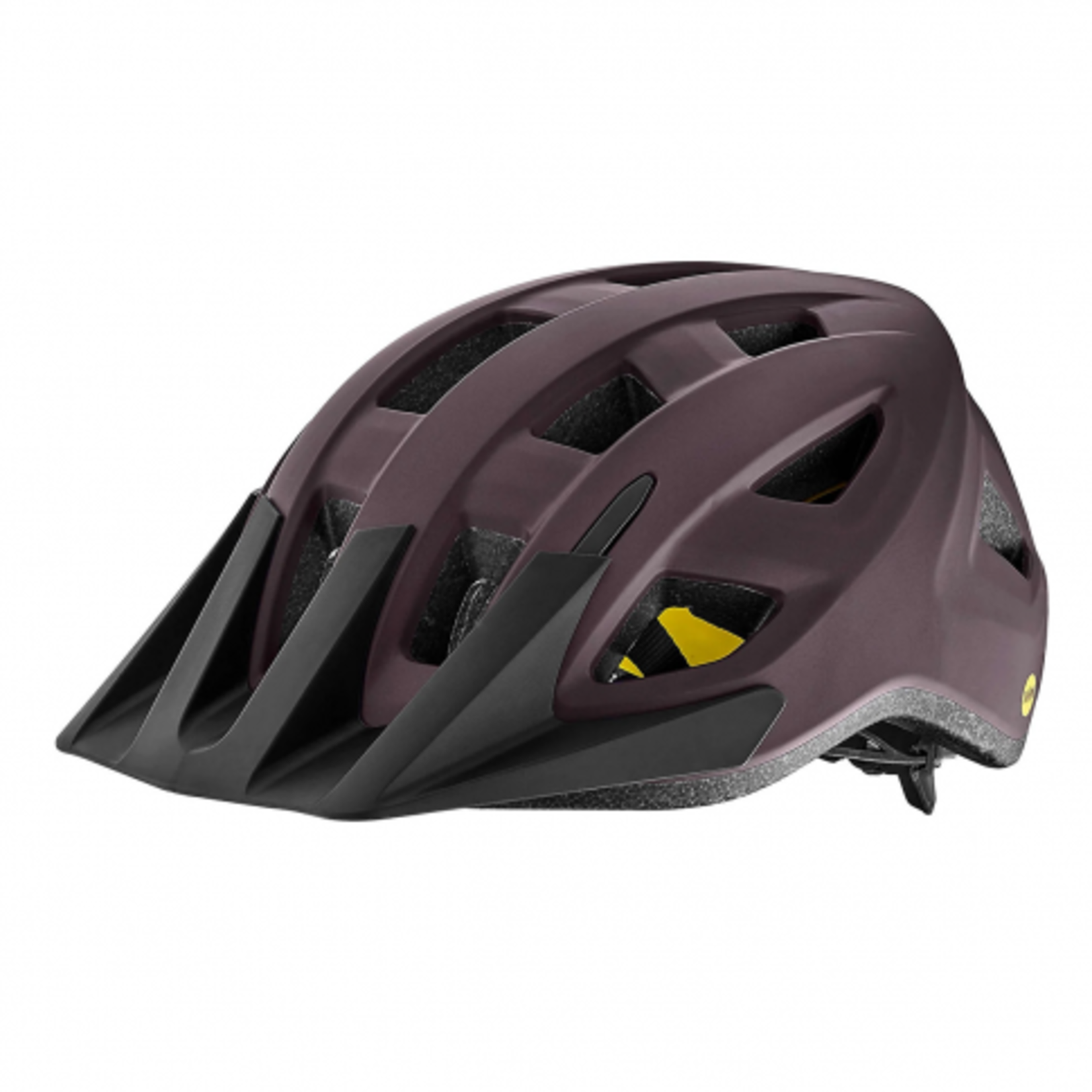 Liv Path Mips helmet matte purple M/L