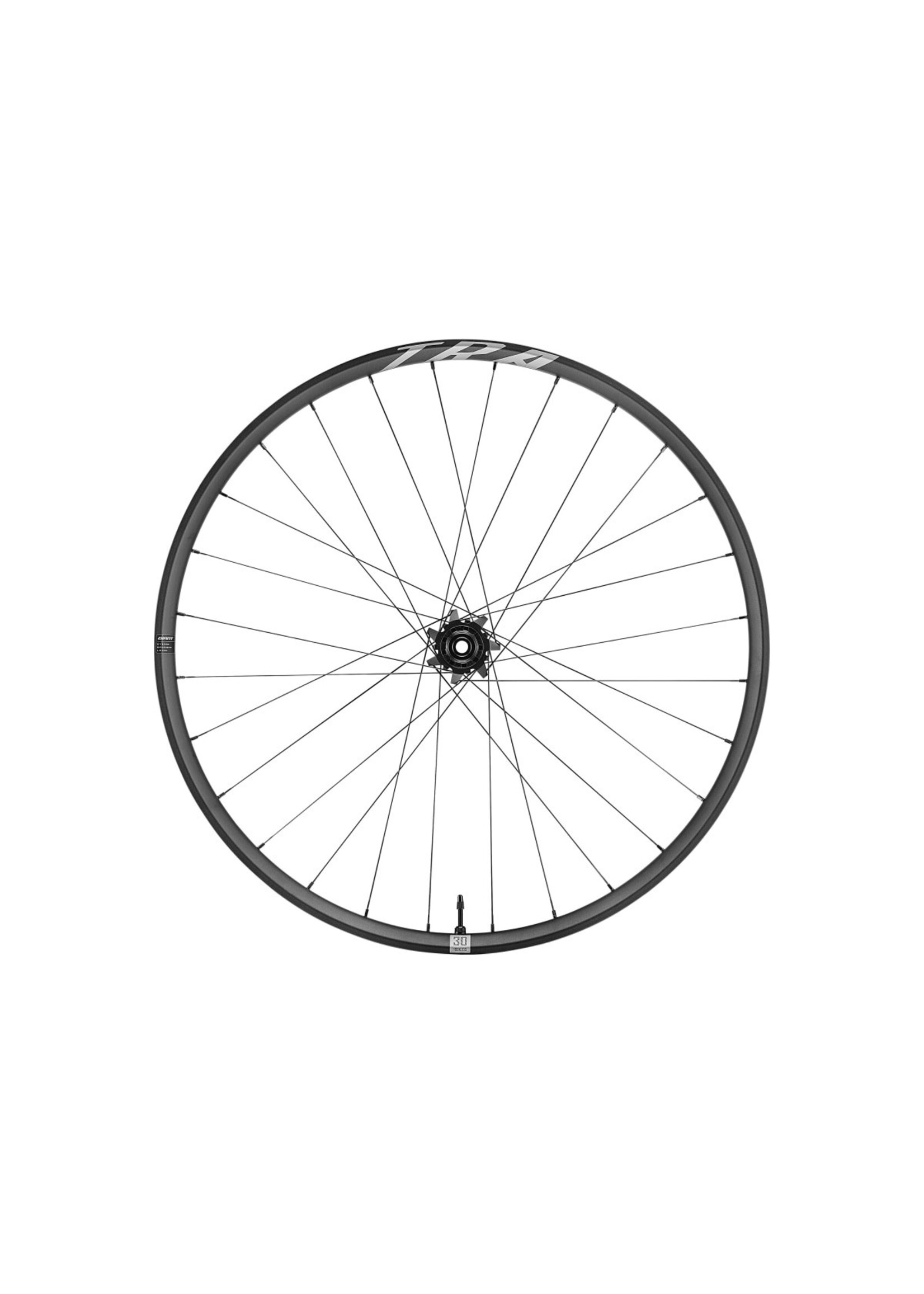 Giant GIANT TRA 29 Front Wheel 15x110mm