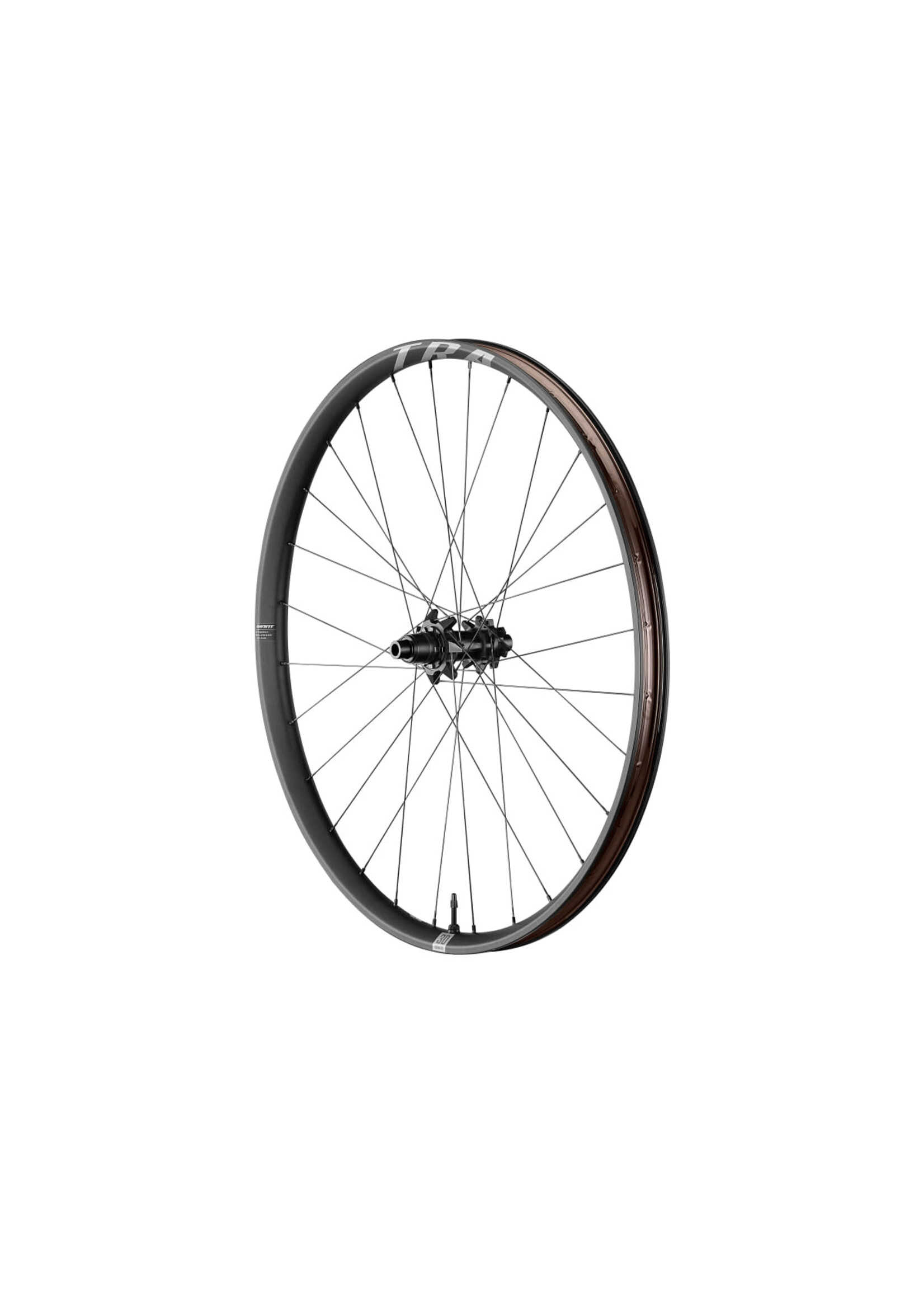 Giant GIANT TRA 29 Front Wheel 15x110mm