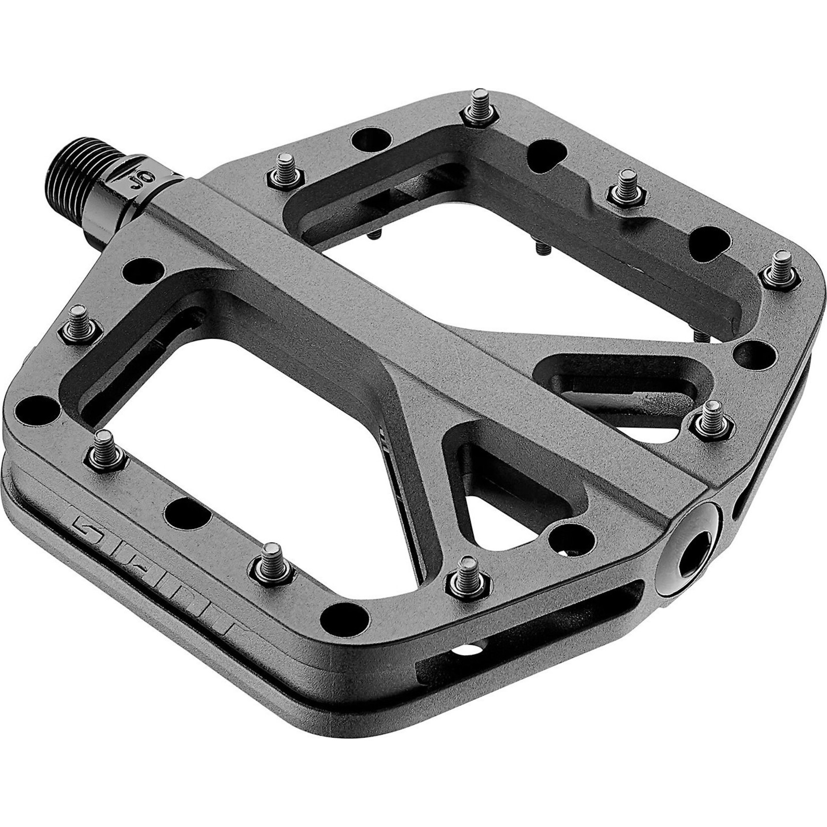 Giant Pinner Elite Flat Pedal black
