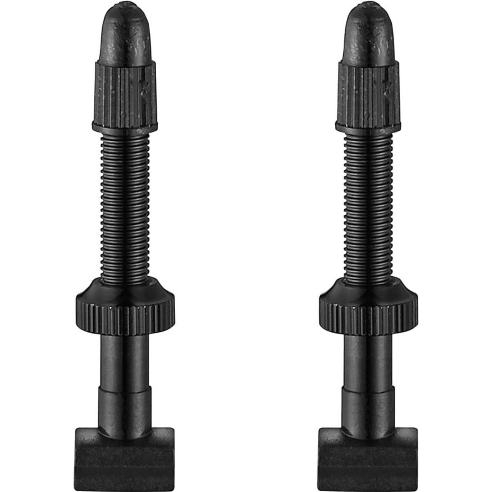 Giant Tubeless Valve Stem for 30mm Rim and MTB x 2