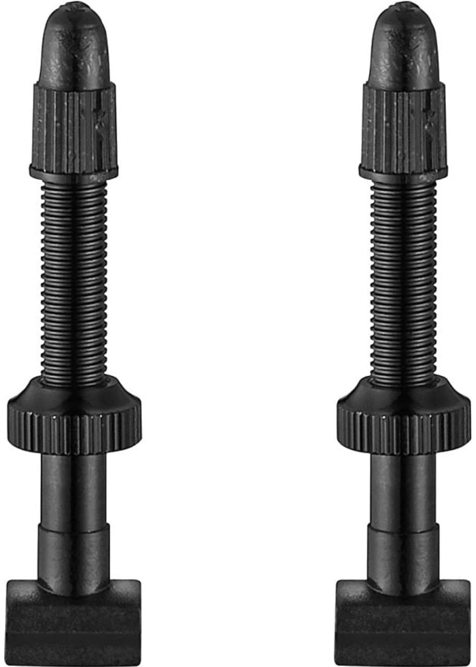 Giant Tubeless Valve Stem for 30mm Rim and MTB x 2