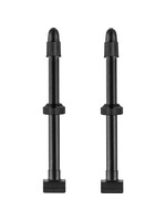 Giant Lightweight Tubeless Valve Stems 70mm x 2
