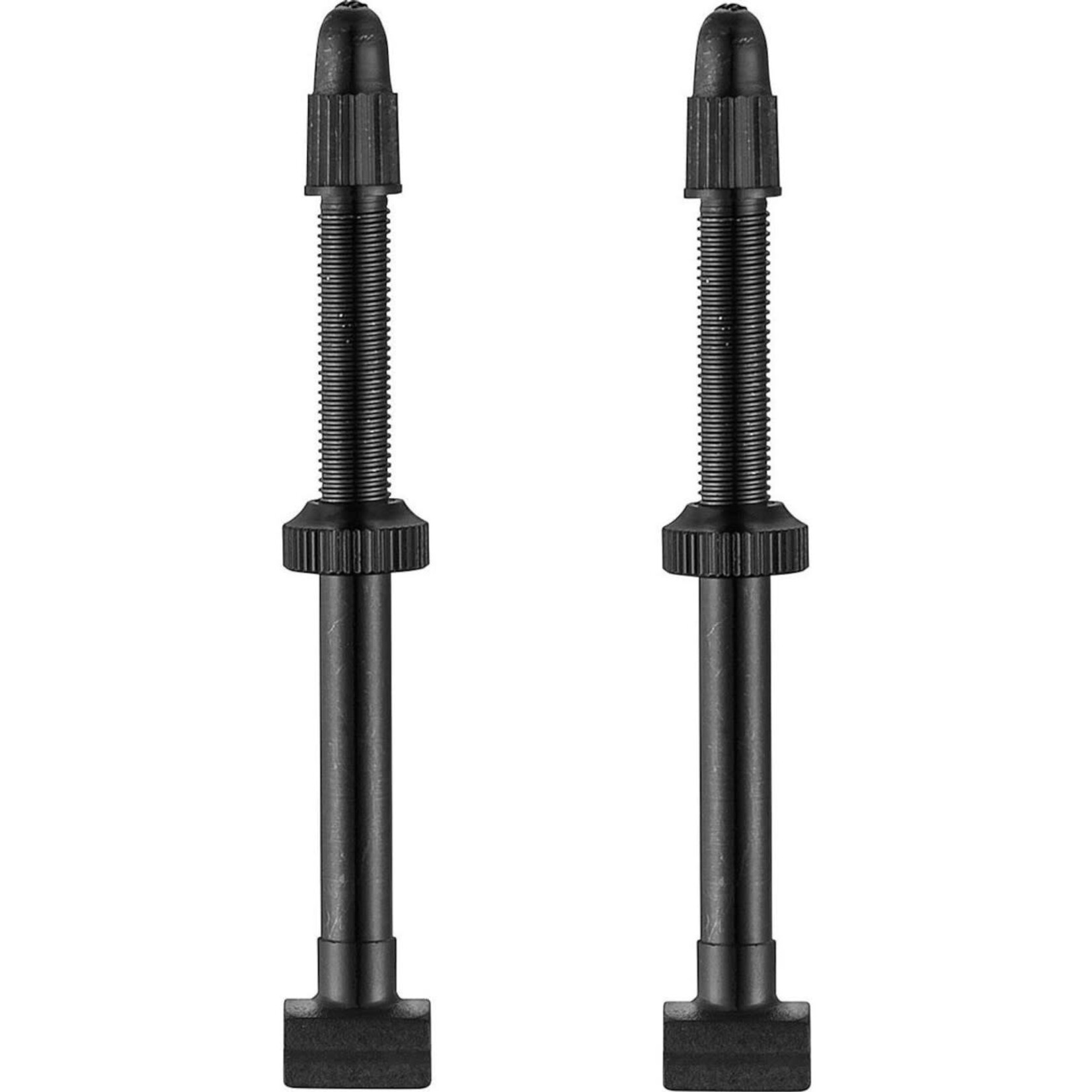 Giant Lightweight Tubeless Valve Stems 70mm x 2