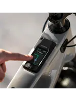 AMFLOW Amflow PX Carbon XL-GL
