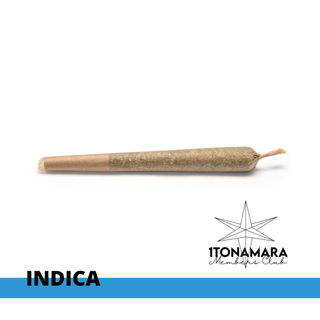 Black Gas Pre-Rolls [AAA]