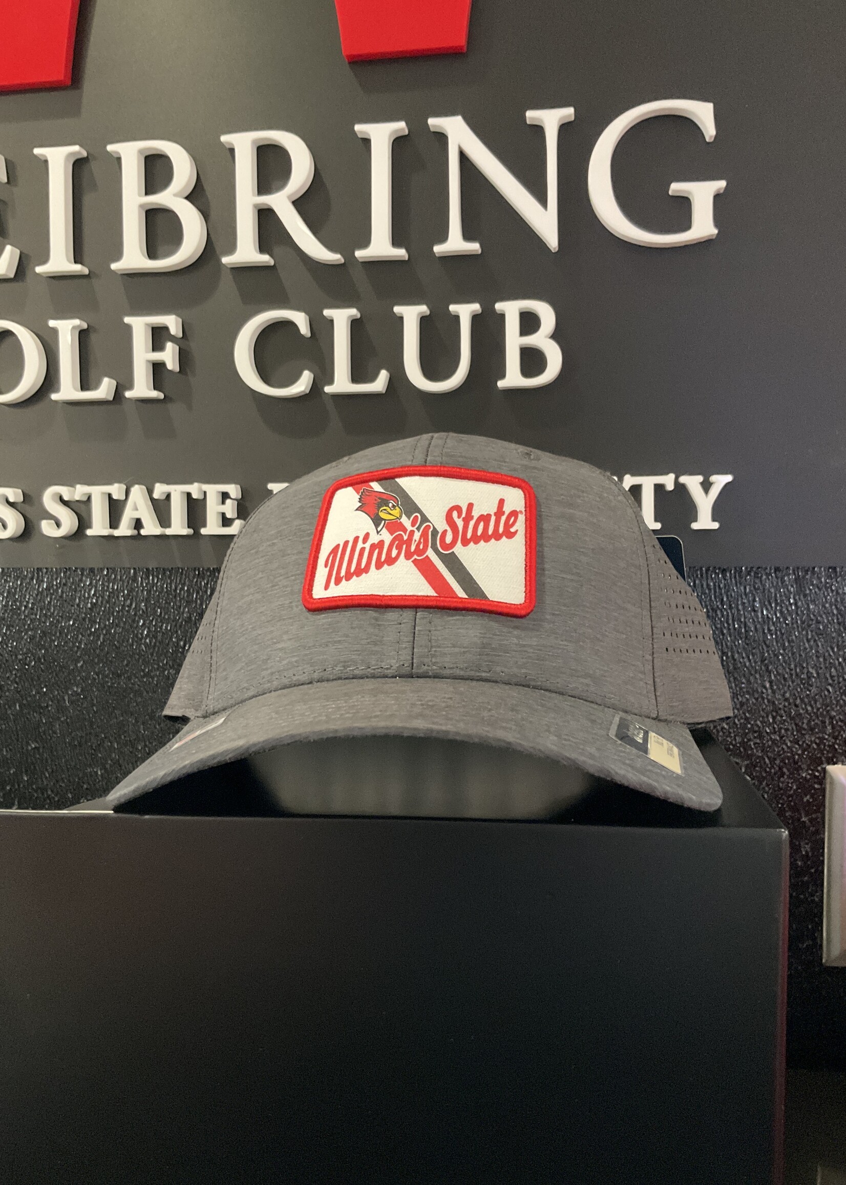 Ahead - Illinois State Grey Cap