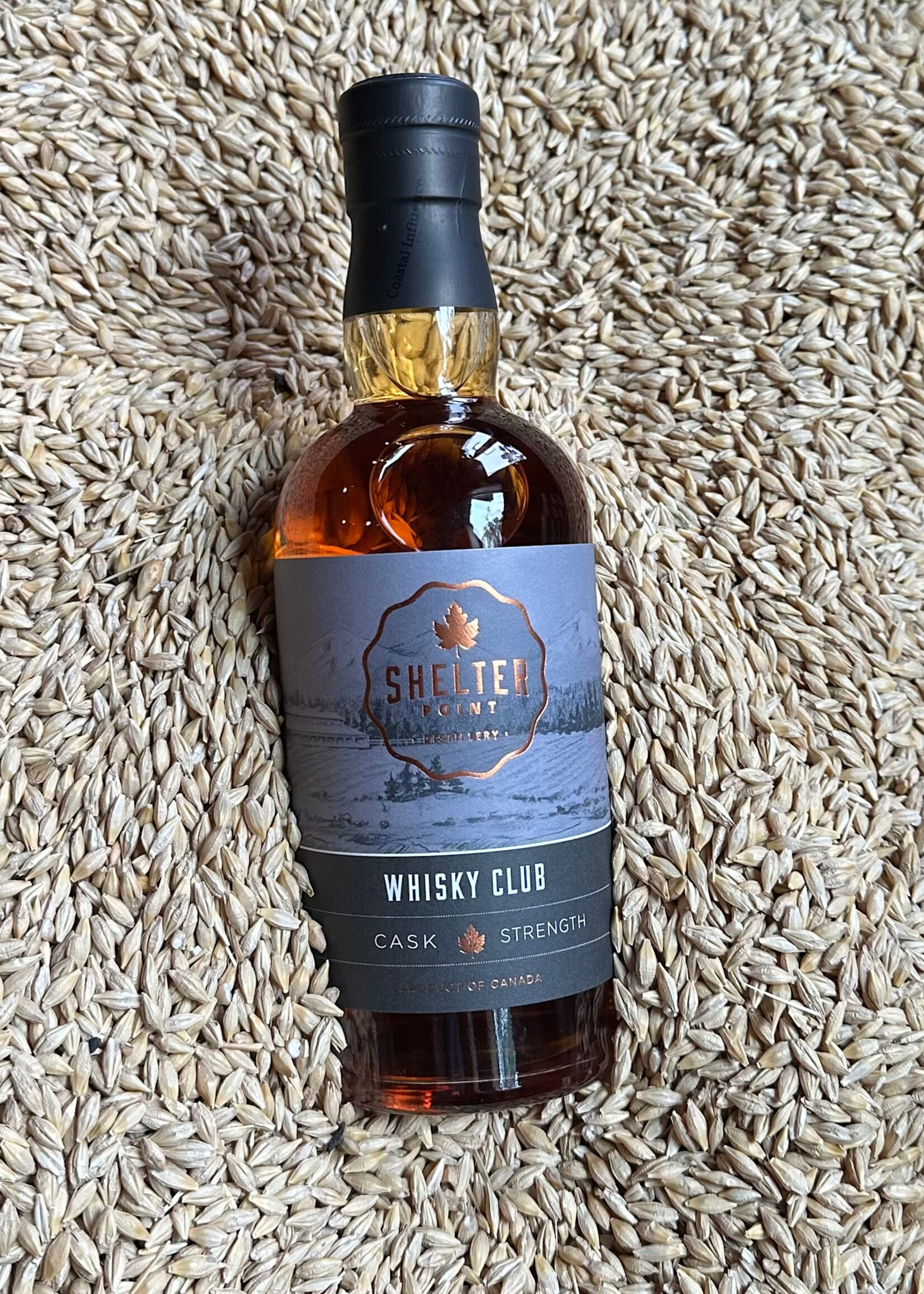 Whisky Club Release