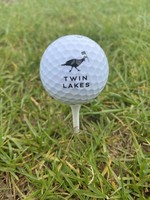 Callaway Golf Balls - Logo Jar Ball