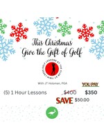 One Hour Lesson Package ( Holiday Gift)