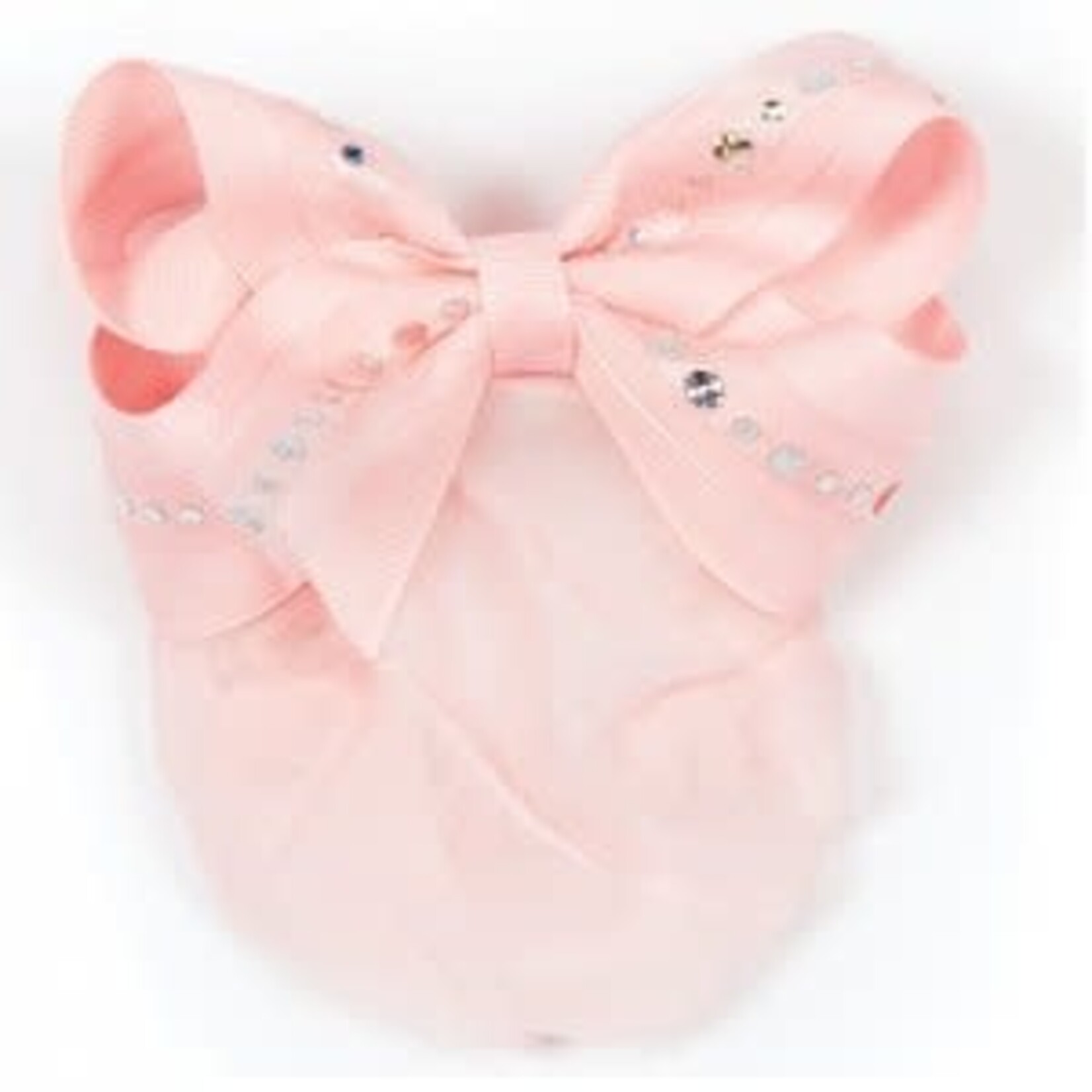 Dasha 4024 Hologram Bow Snood