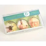 B Plus Printworks Glass Magnet Set