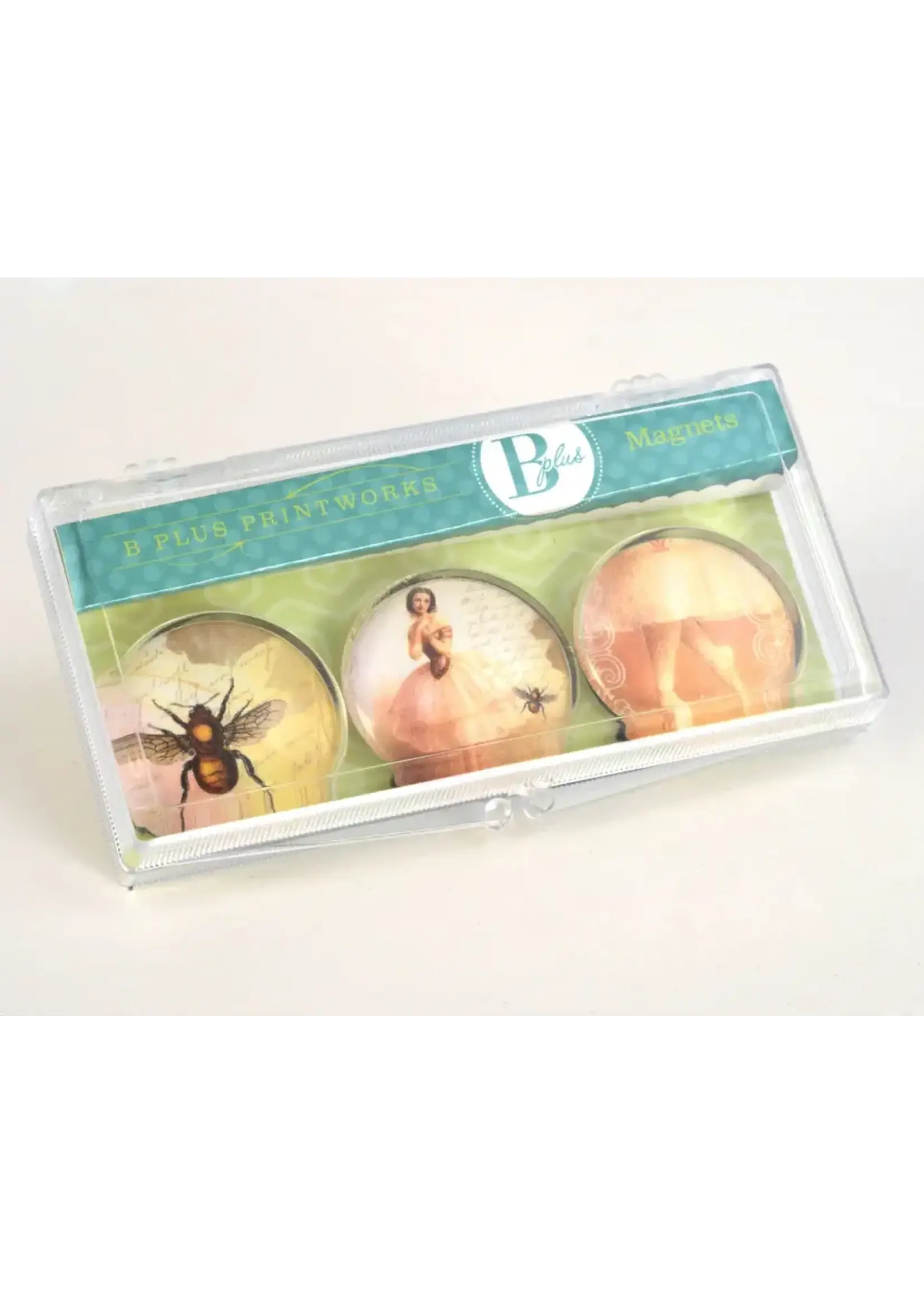 B Plus Printworks Glass Magnet Set