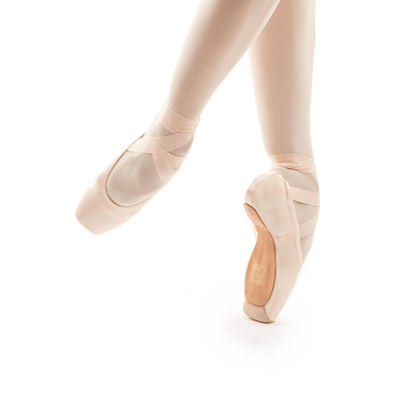 Gaynor Minden Europa SALE Pointe Shoes