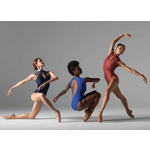 Ballet Rosa Mirielle Lace Front High Neck Leotard