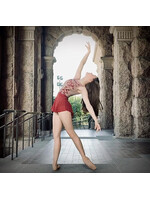 Ballet Rosa Ballet Rosa Child Skylar Mesh Pull On Skirt