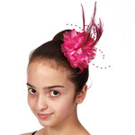 Dasha 2365 Bead and Feather Clip Assorted