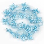 Dasha Dasha 2114 Star Flower Buncover