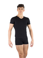 Ballet Rosa Ballet Rosa Men's Germain V-Neck T-Shirt 630MFA