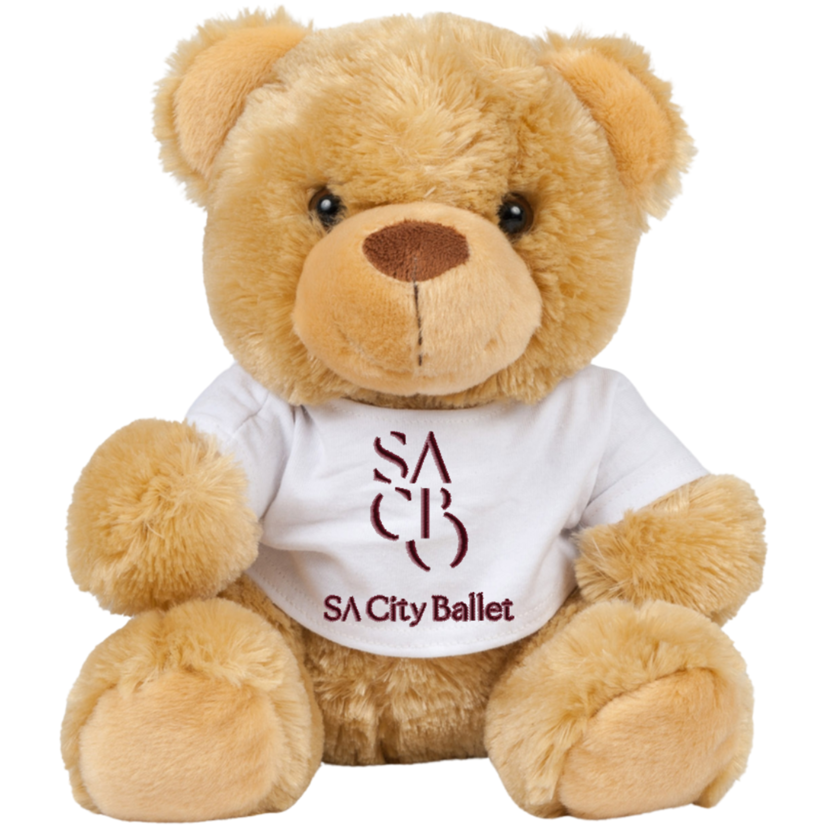 SACB Studio Bear