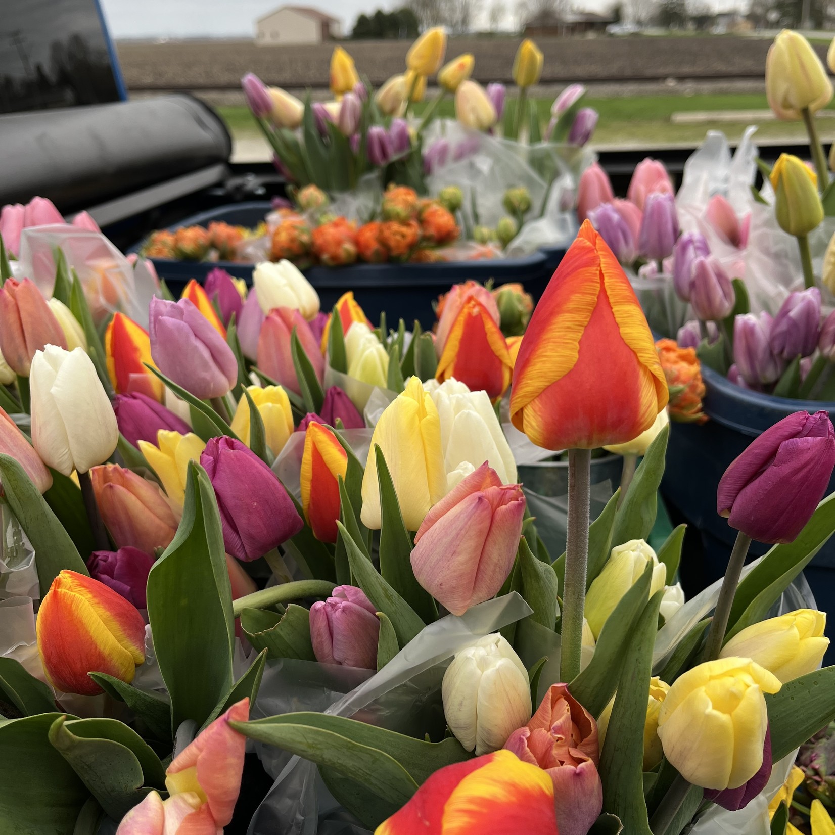 Community Outreach America In Bloom #GrowGrandRidge