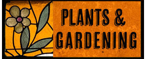 Plants & Gardening