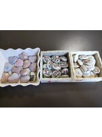 Pocket Rocks