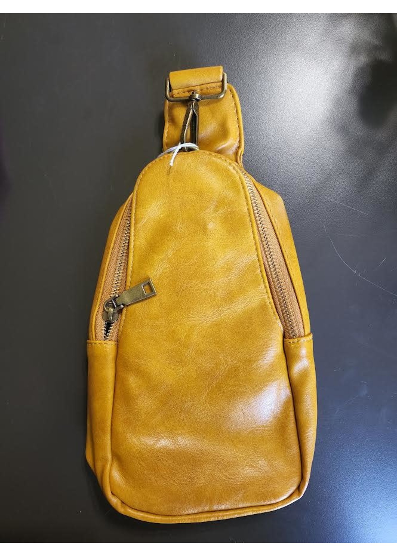 Sling Back Backpack Purse