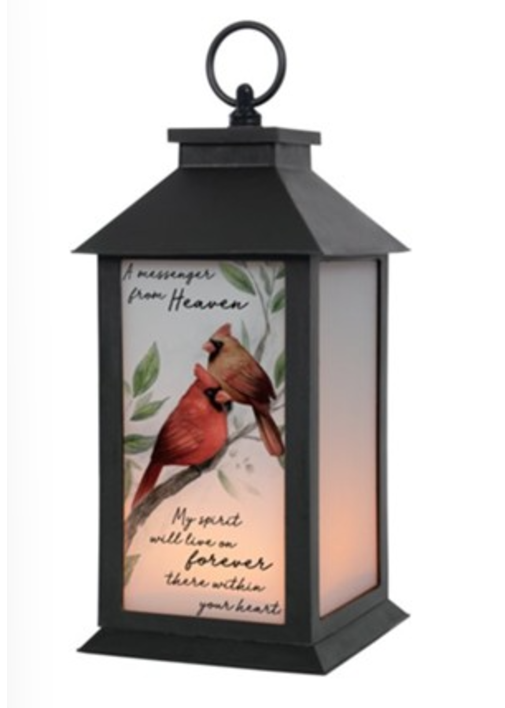 Carson A Message Frosted Lantern