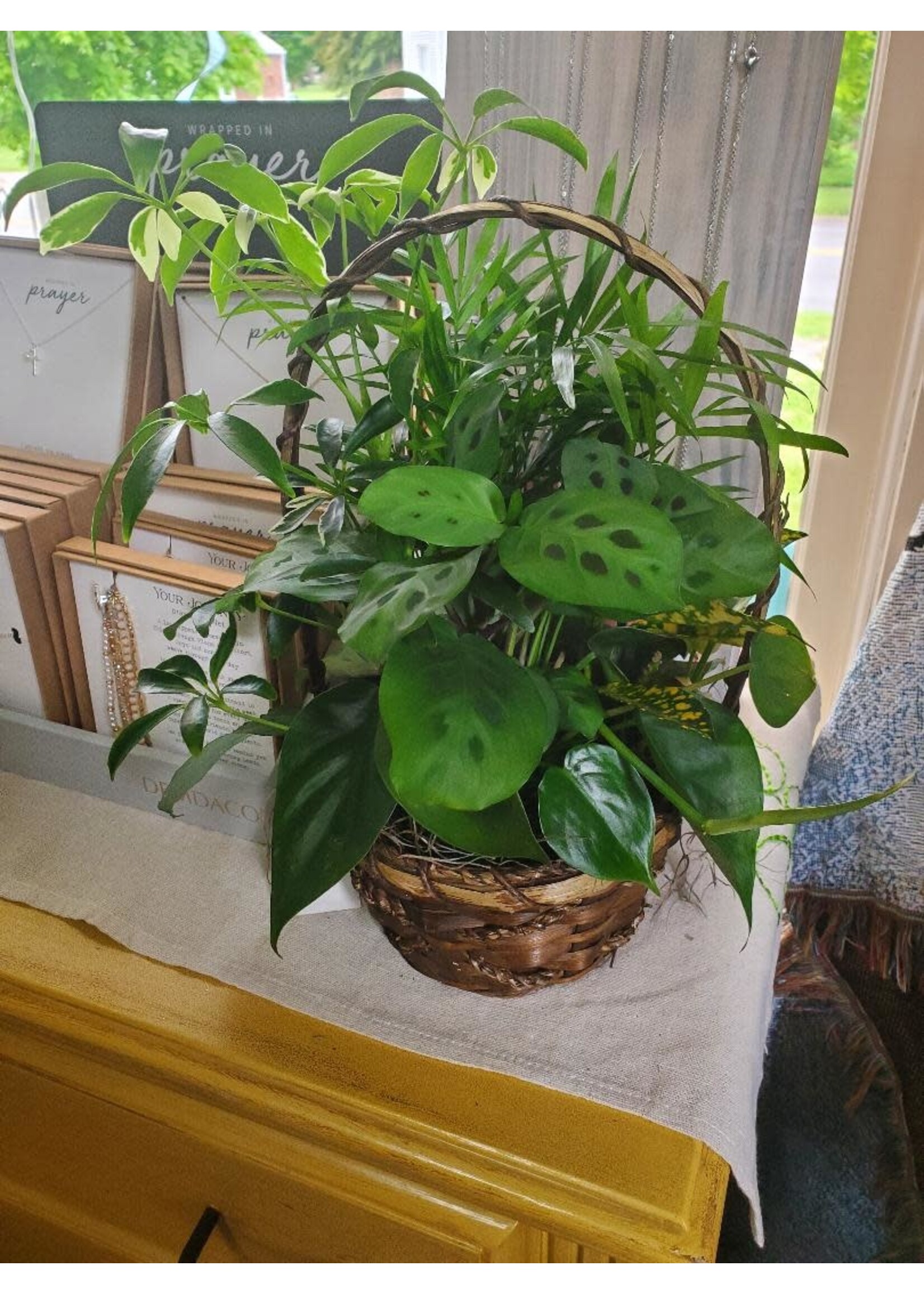 Small Dish Garden