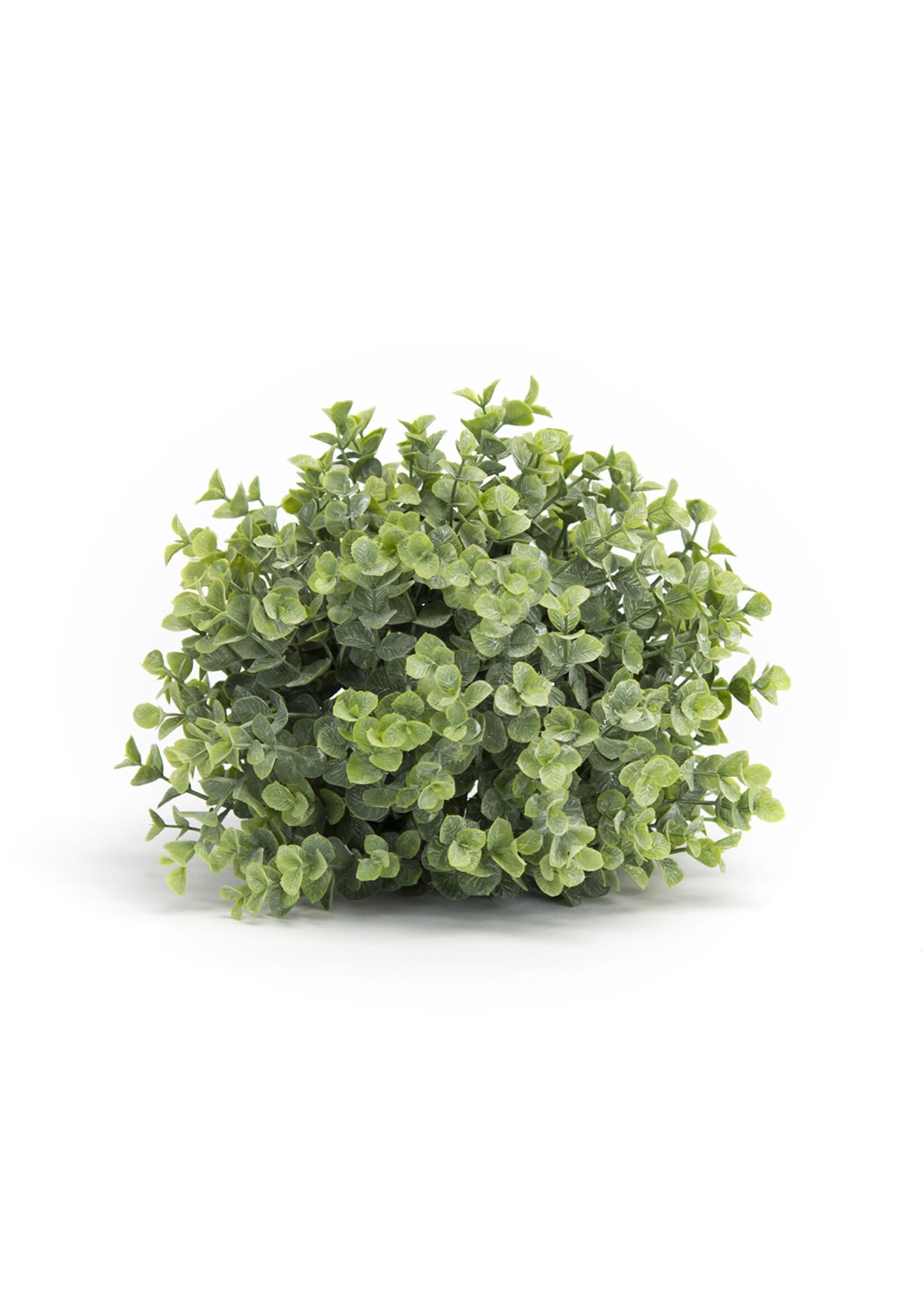 Gary's Wholesale Half Boxwood Ball