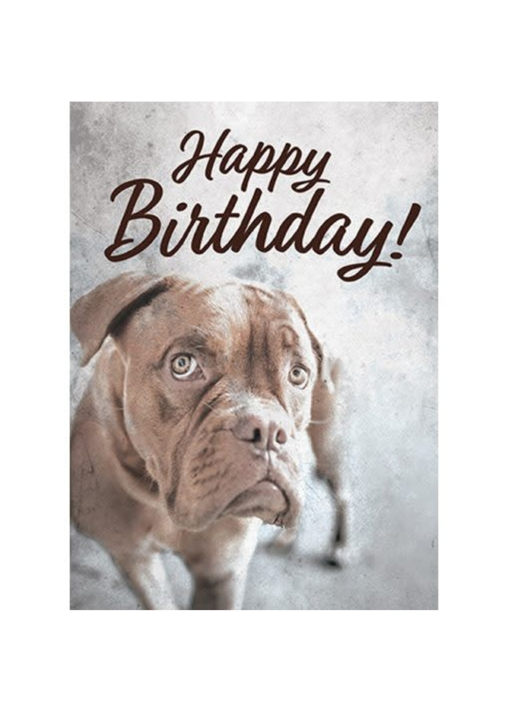 Carson "Happy Birthday" Humorous Greeting Card