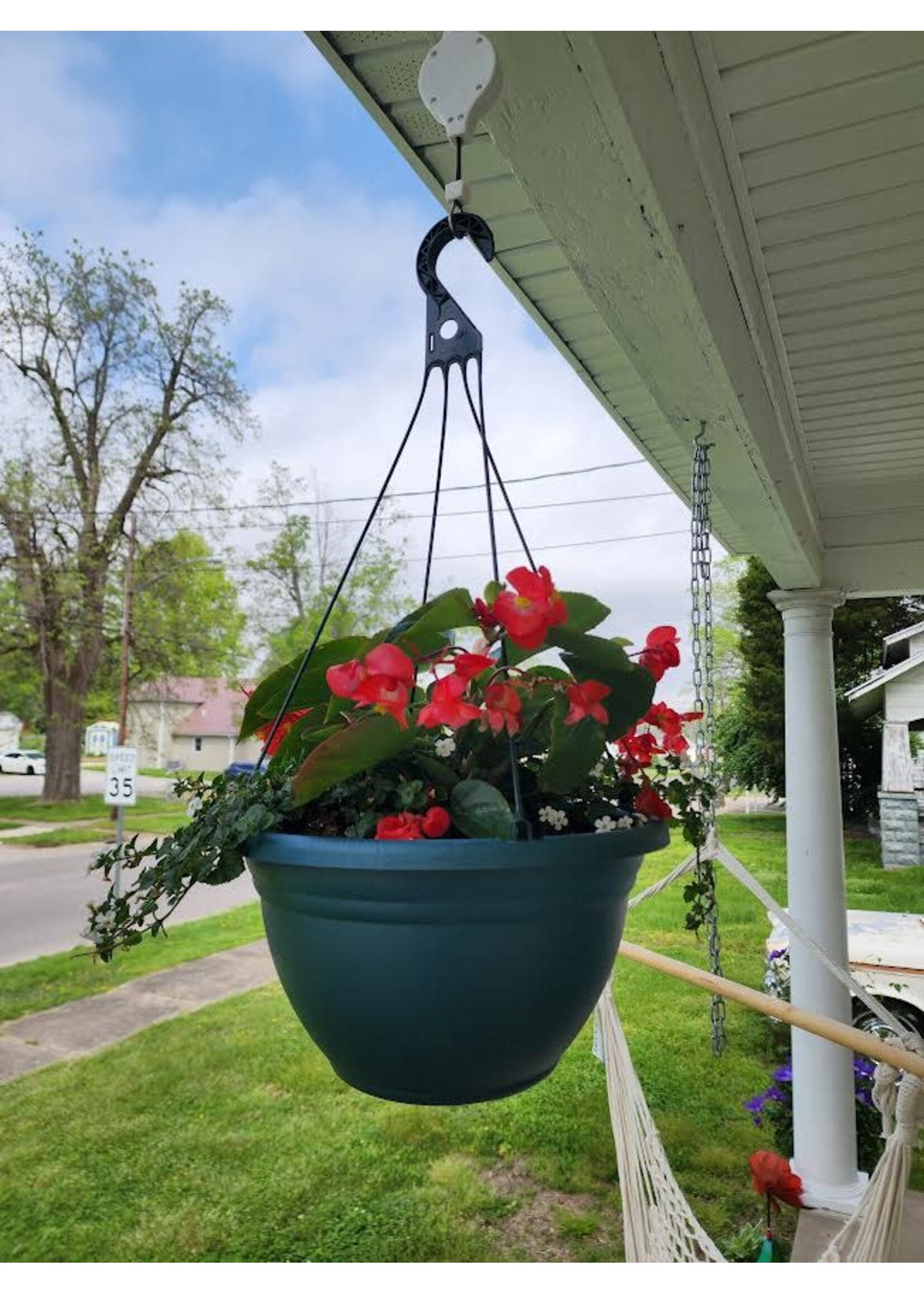 Backyard Blooms 14" Hanging Basket , Green