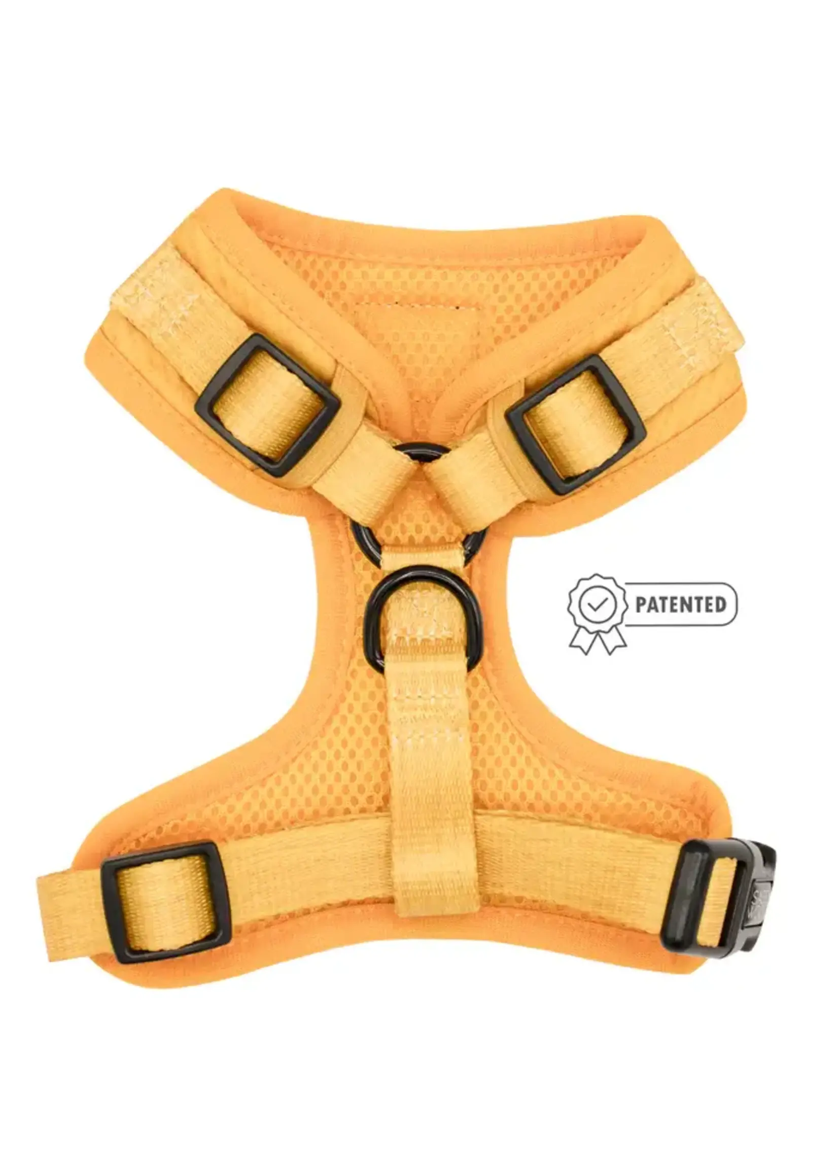 Sassy Woof Sassy Woof DOG HARNESS - SUNFLOWER FIELDS Large