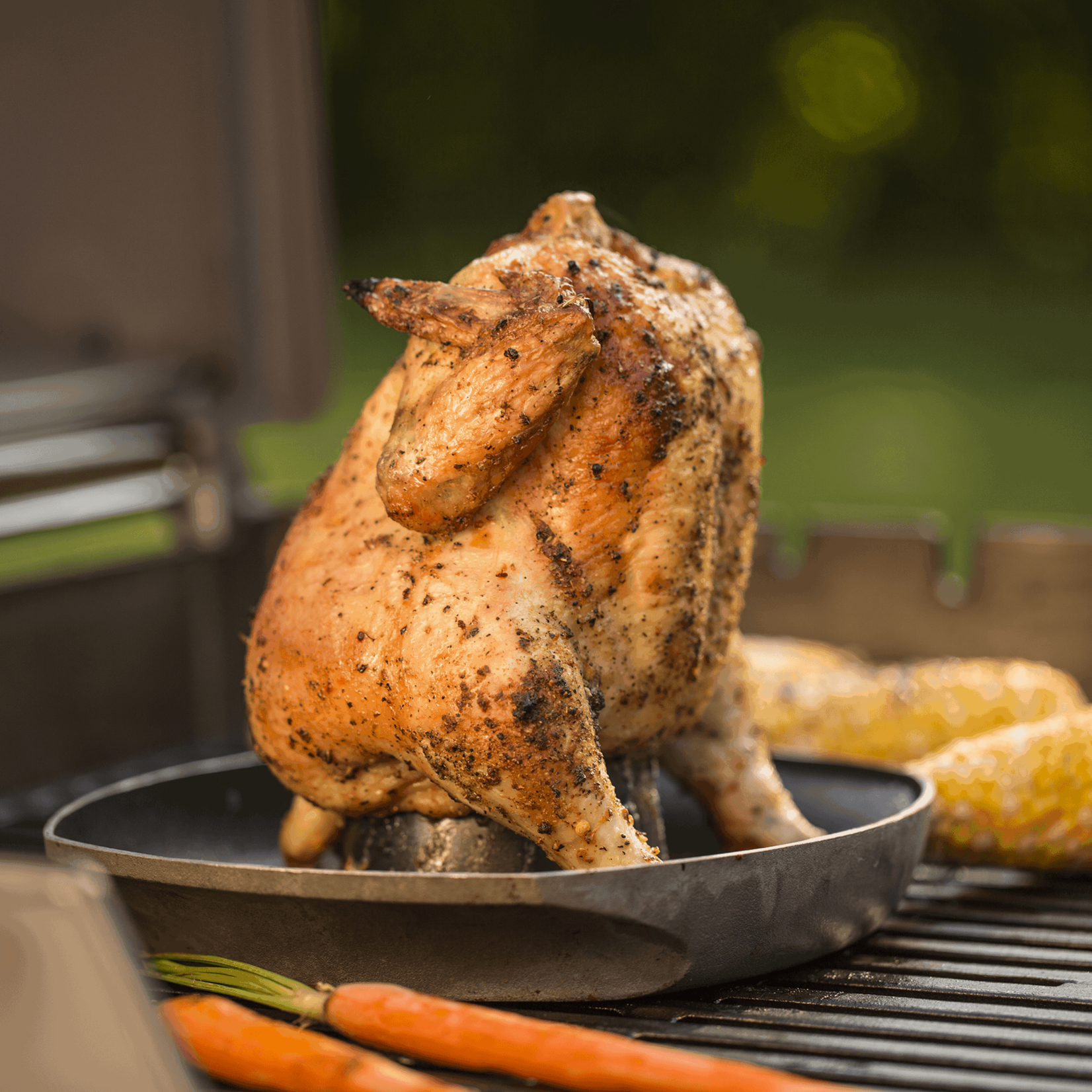 Weber Deluxe Poultry Roaster { BIN WE3 - 1}
