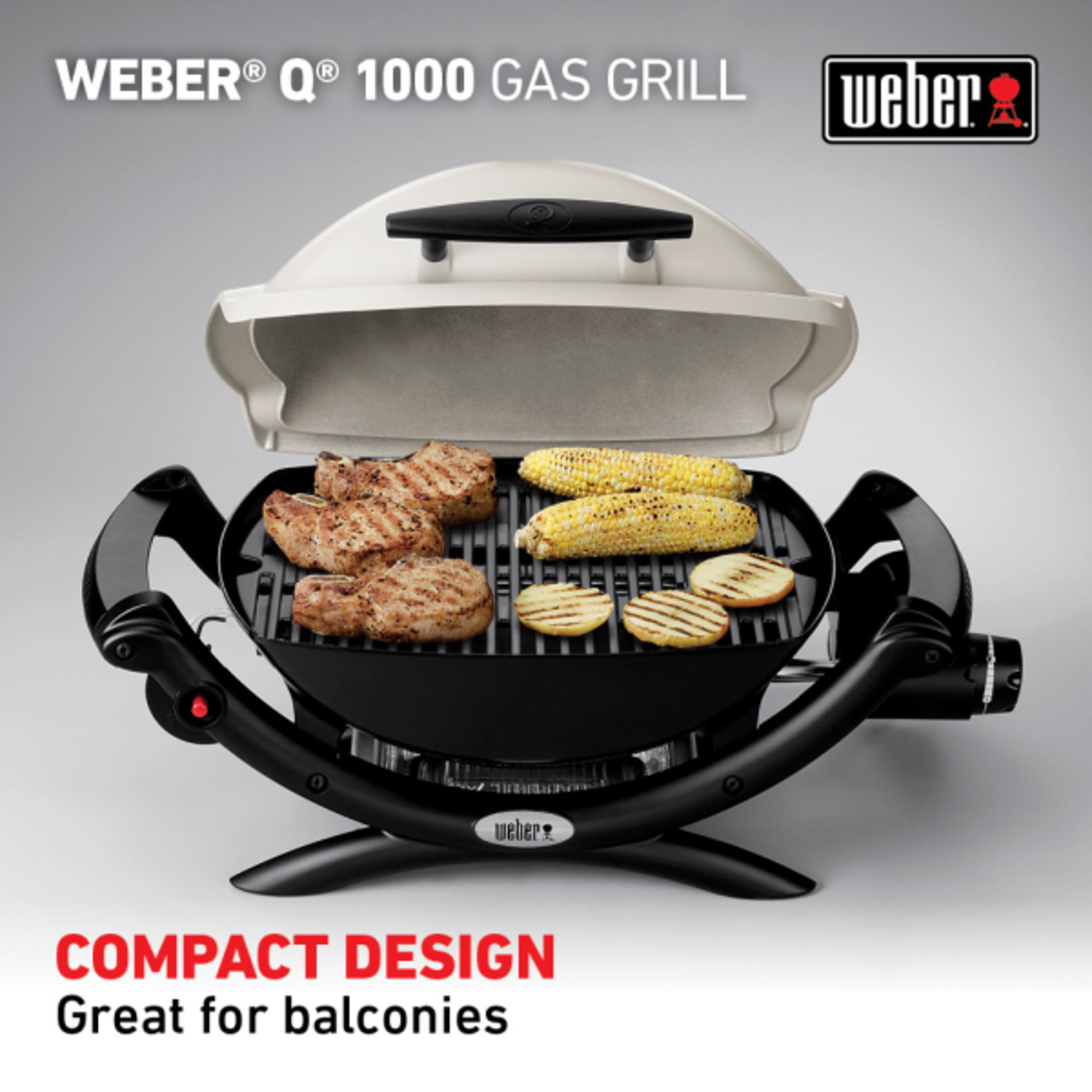 Weber Q 1000 Gas Grill LP Titanium