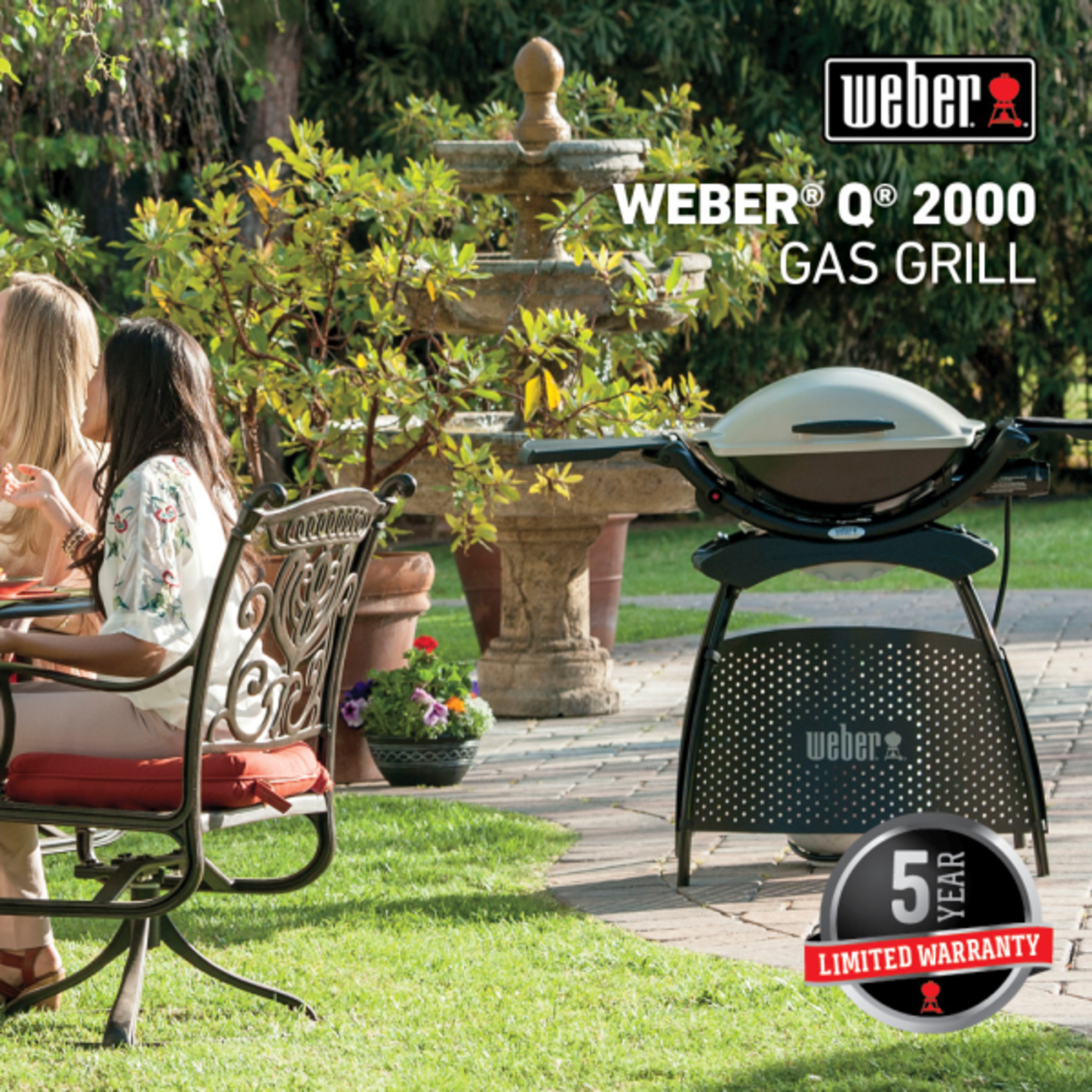 Weber Q 2000 Gas Grill LP Titanium