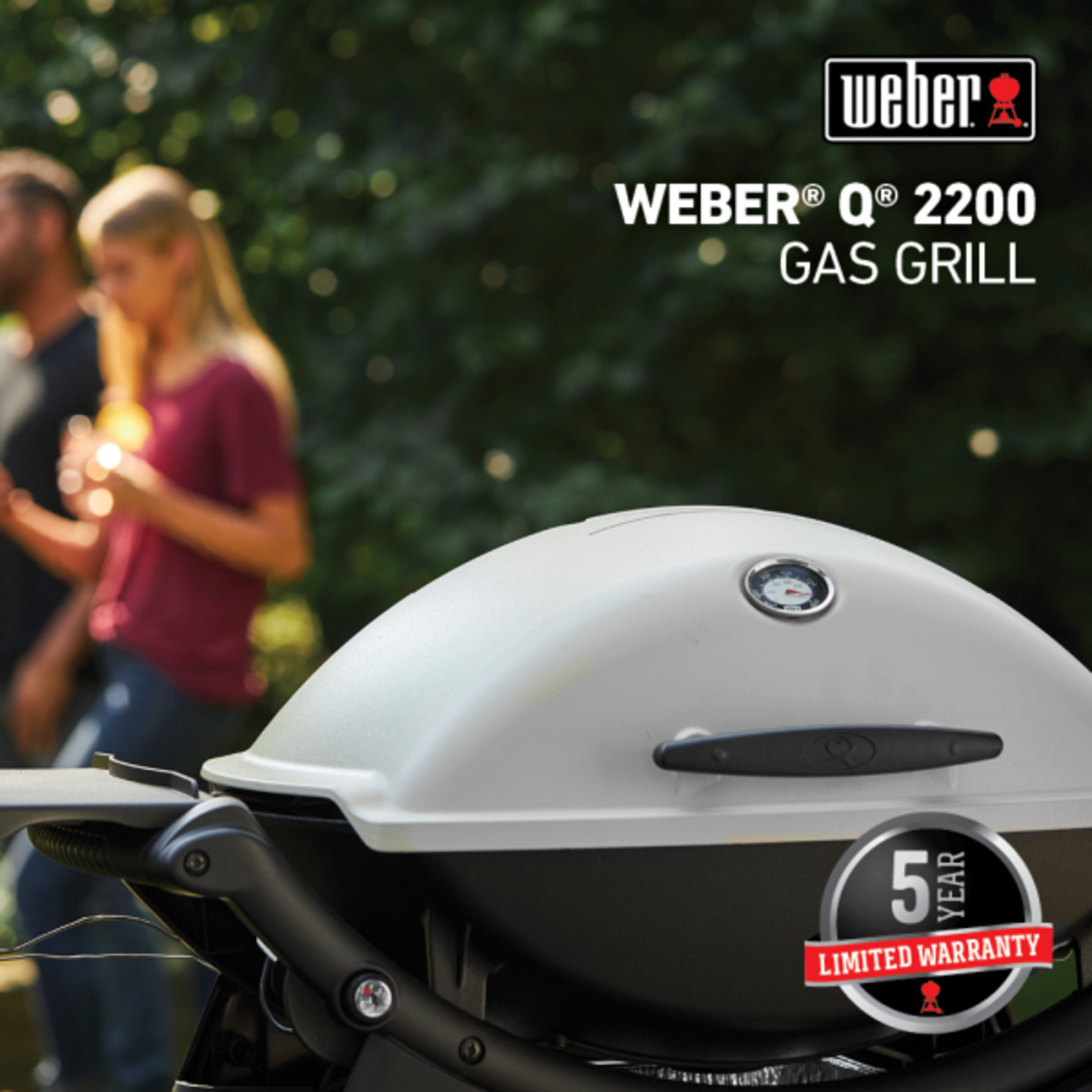 Weber Q 2200 Gas Grill LP Titanium