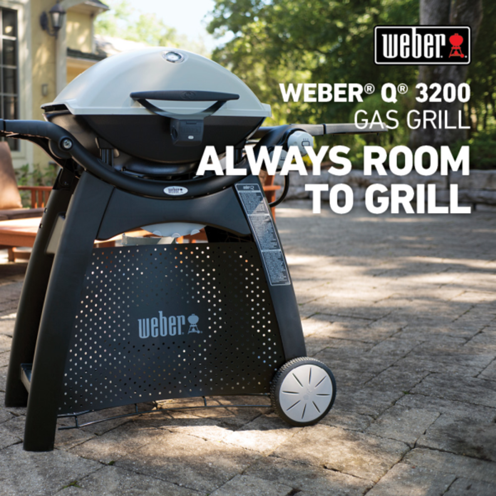 Weber Q 3200 Gas Grill NG Titanium