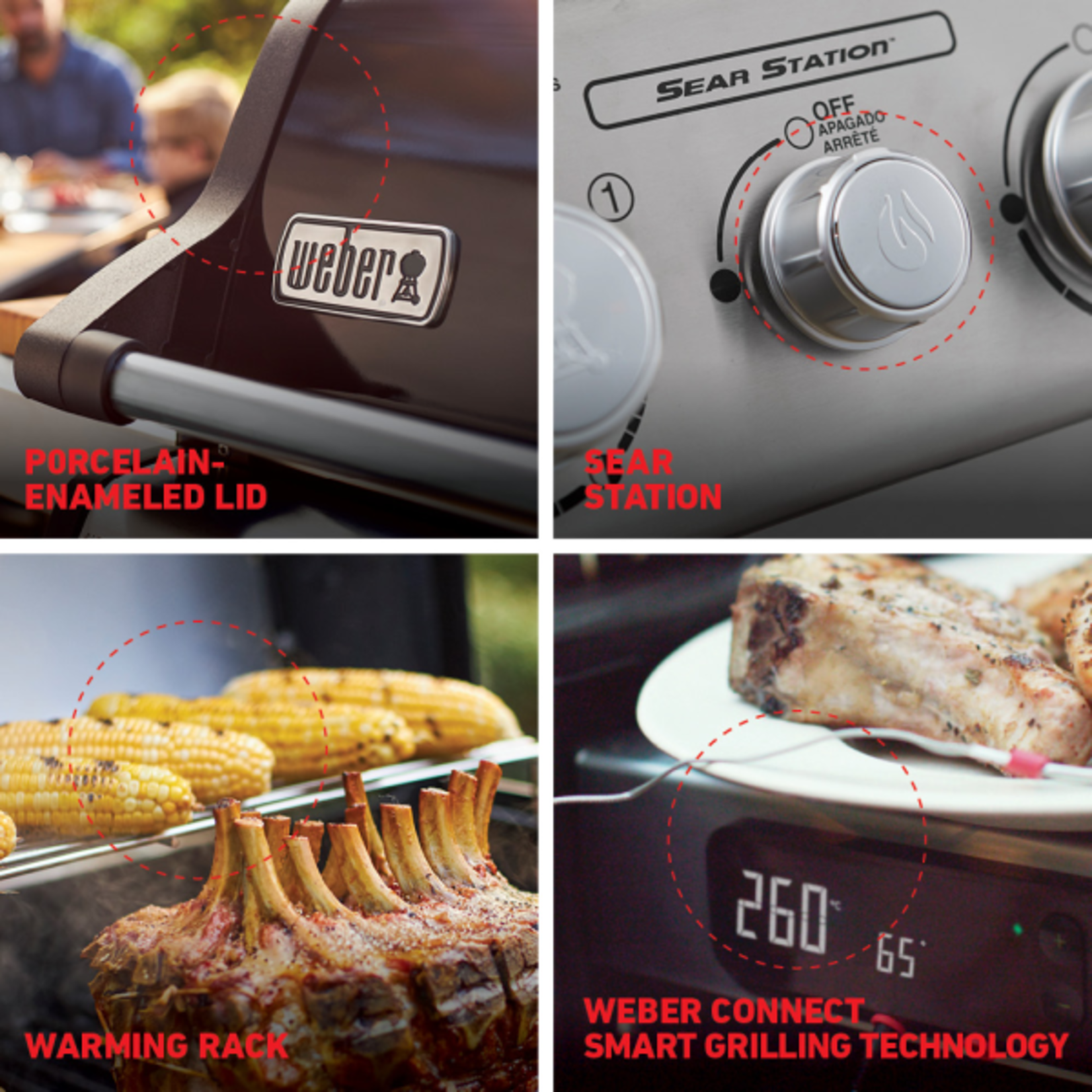 Weber SPIRIT EX-325s LP BLK (Save $100)