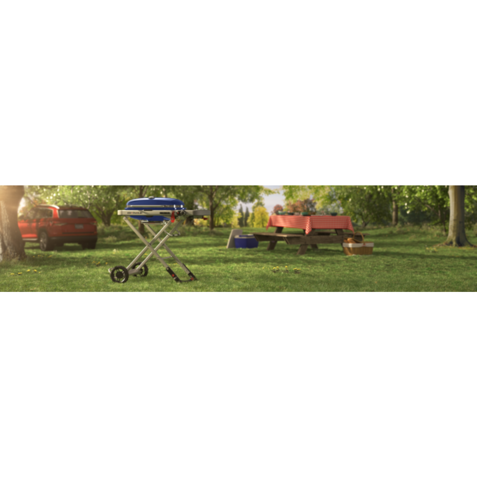 Weber Weber Traveler Lp Blue ($100 Off)