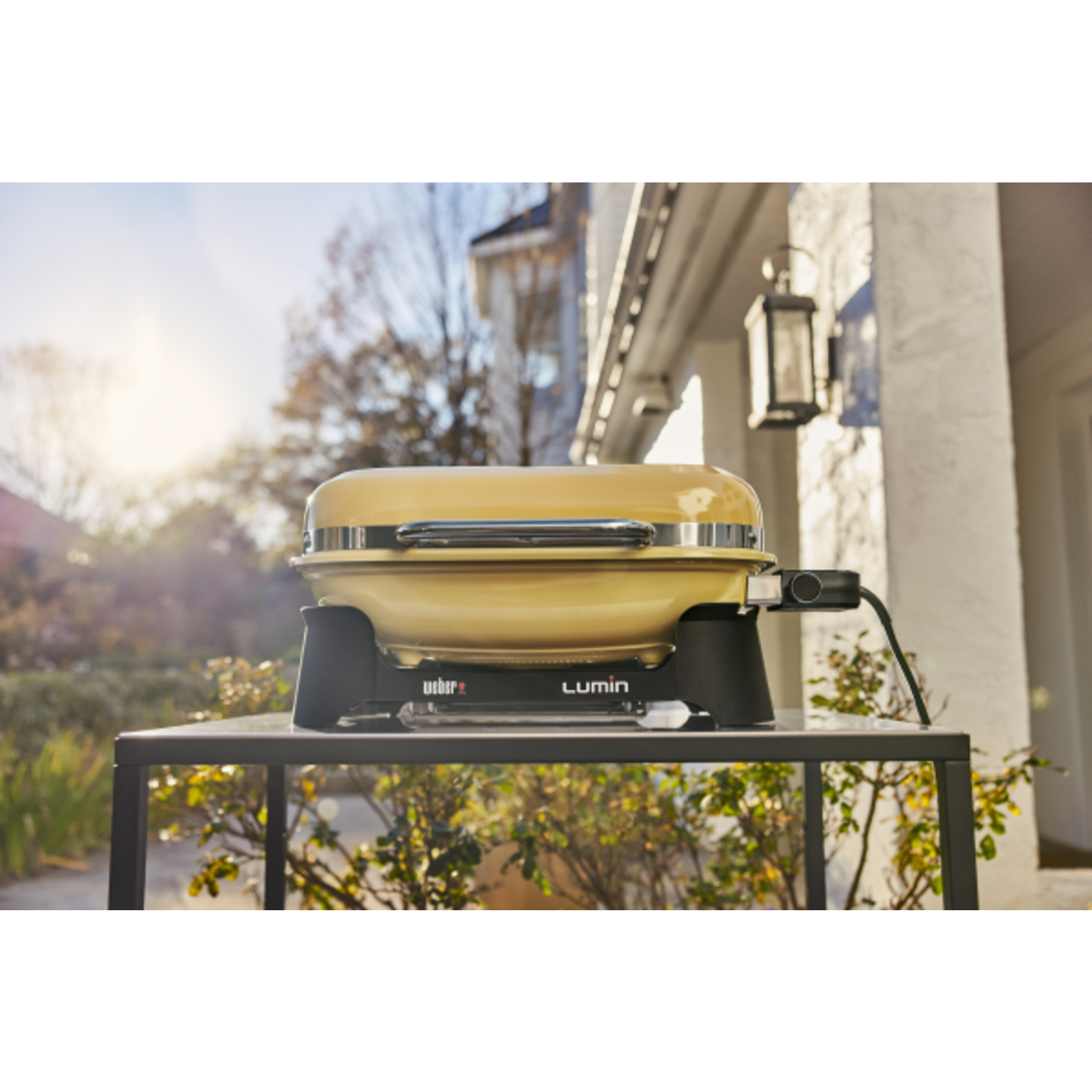 Weber Lumin Golden Yellow